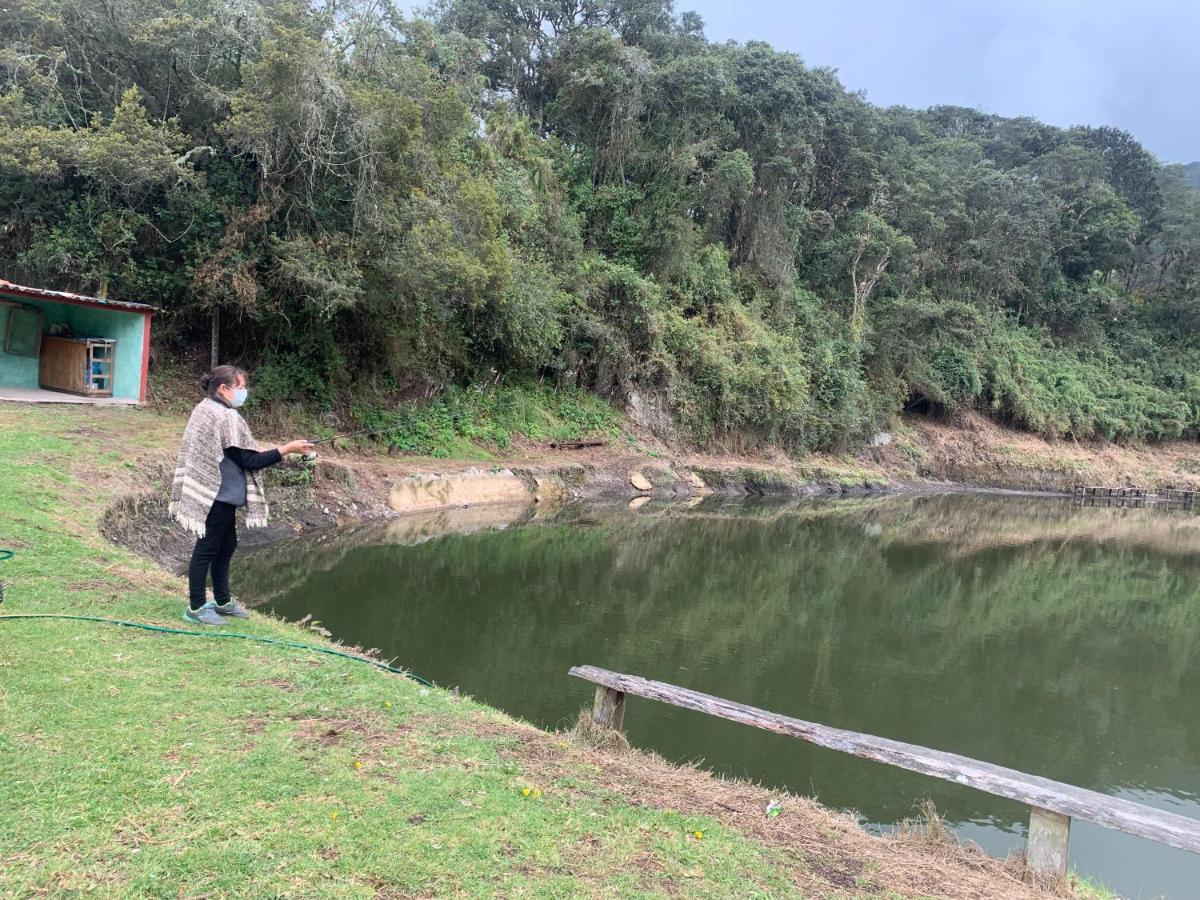 Mirador Bosque Gran Torino Neusa Cogua Eksteriør billede
