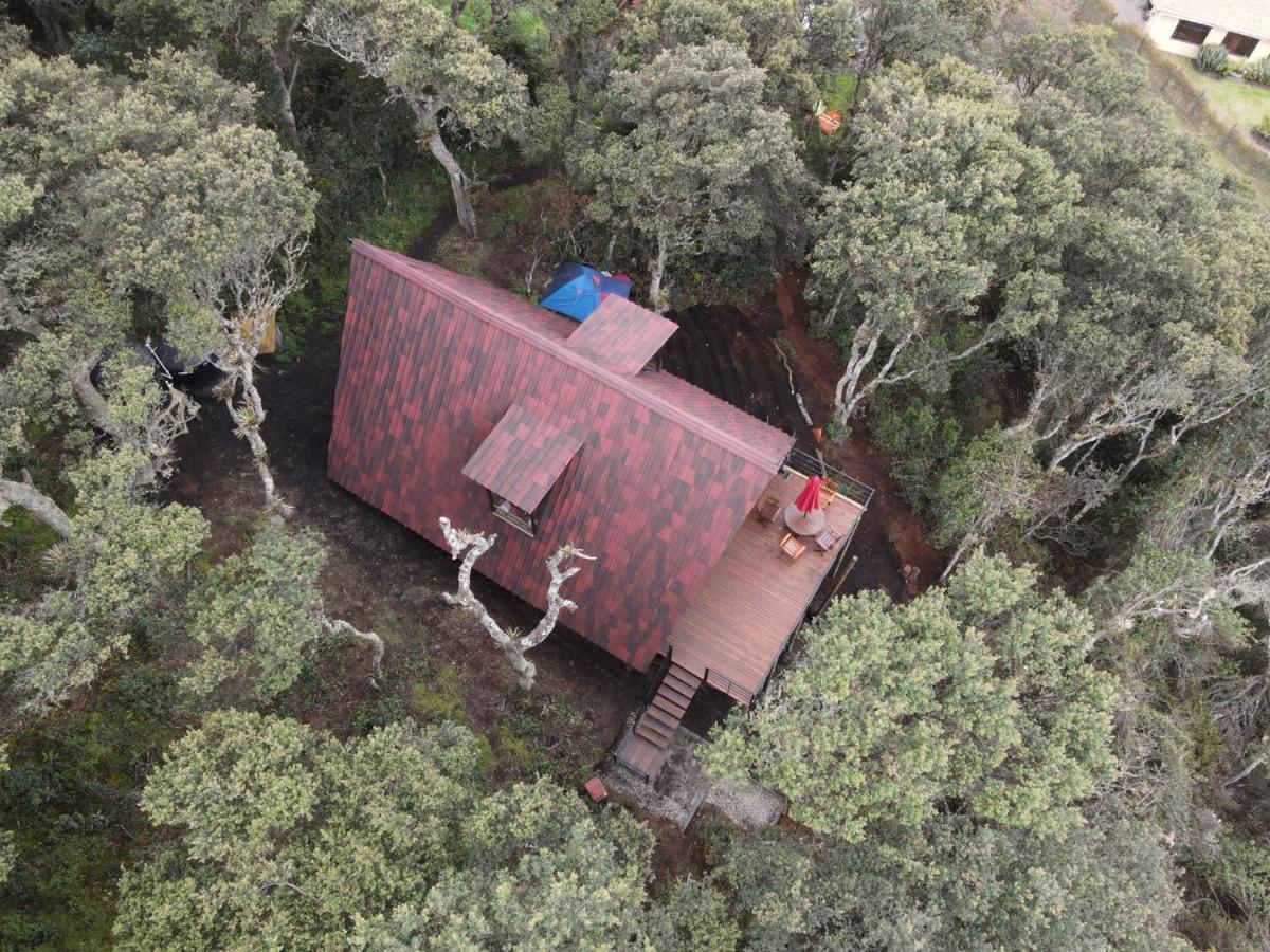 Mirador Bosque Gran Torino Neusa Cogua Eksteriør billede