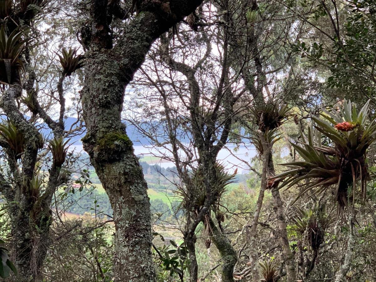 Mirador Bosque Gran Torino Neusa Cogua Eksteriør billede
