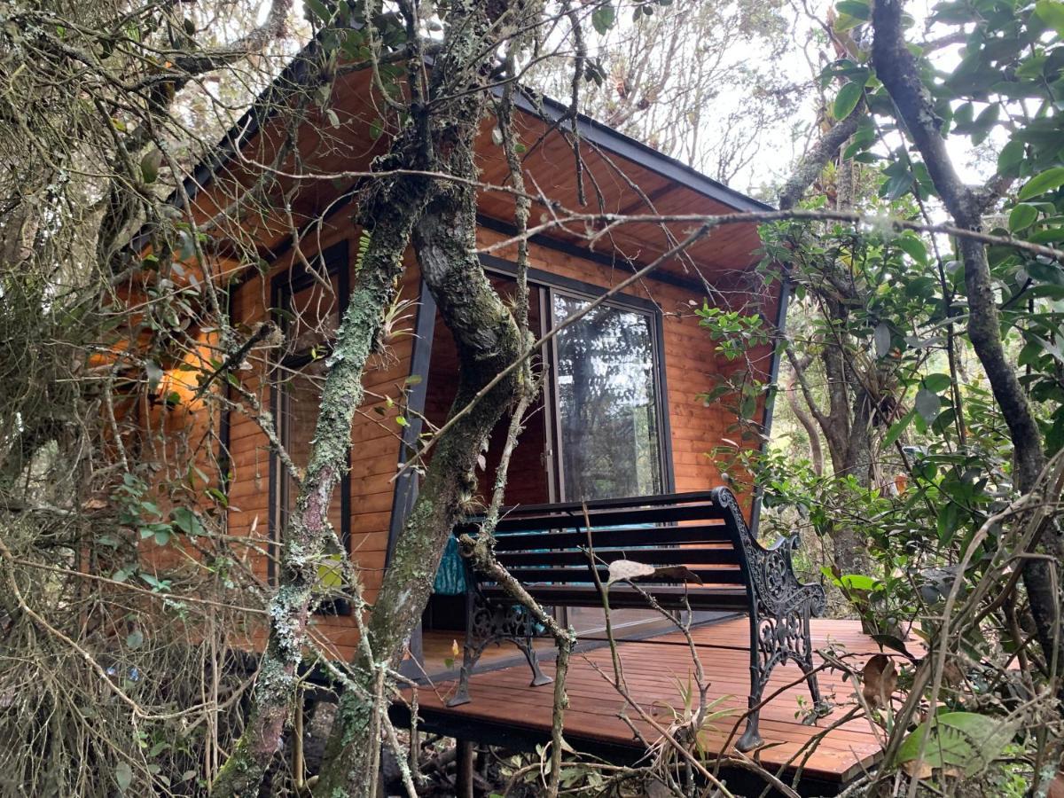 Mirador Bosque Gran Torino Neusa Cogua Eksteriør billede
