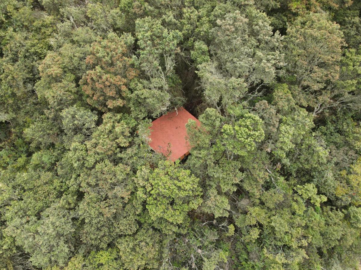 Mirador Bosque Gran Torino Neusa Cogua Eksteriør billede