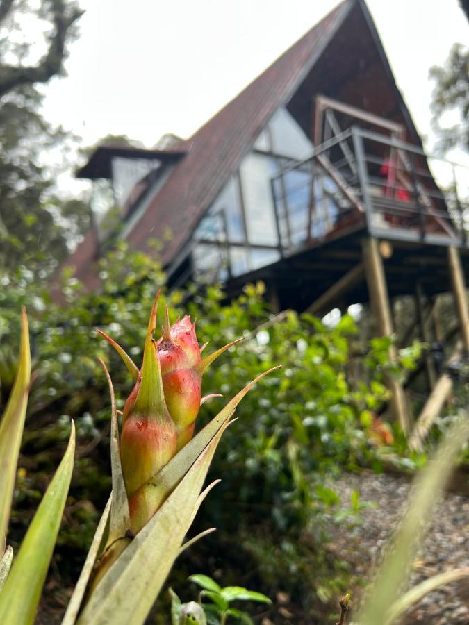 Mirador Bosque Gran Torino Neusa Cogua Eksteriør billede