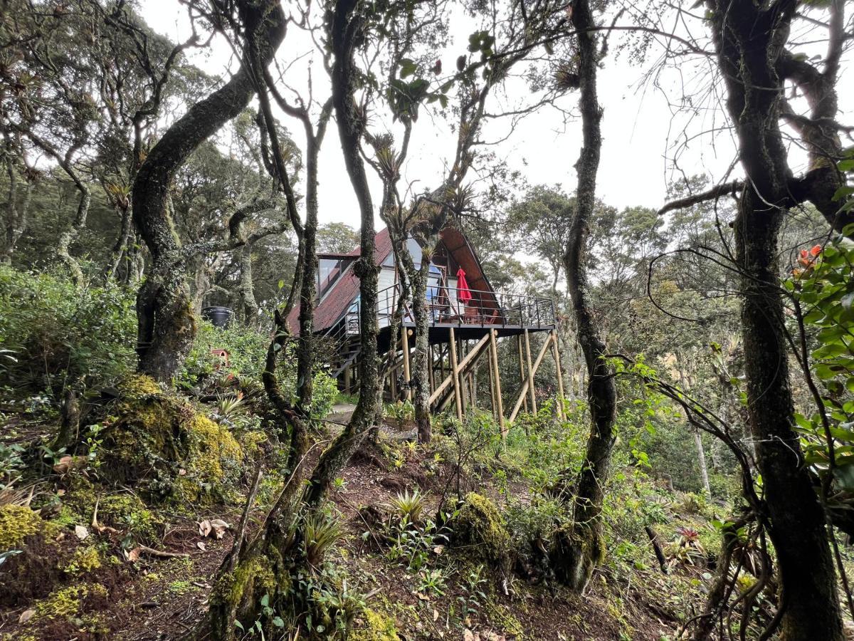 Mirador Bosque Gran Torino Neusa Cogua Eksteriør billede