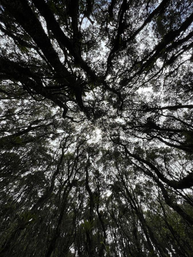 Mirador Bosque Gran Torino Neusa Cogua Eksteriør billede