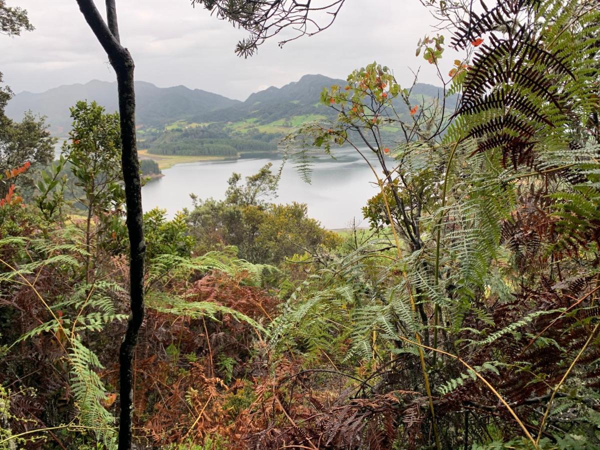 Mirador Bosque Gran Torino Neusa Cogua Eksteriør billede