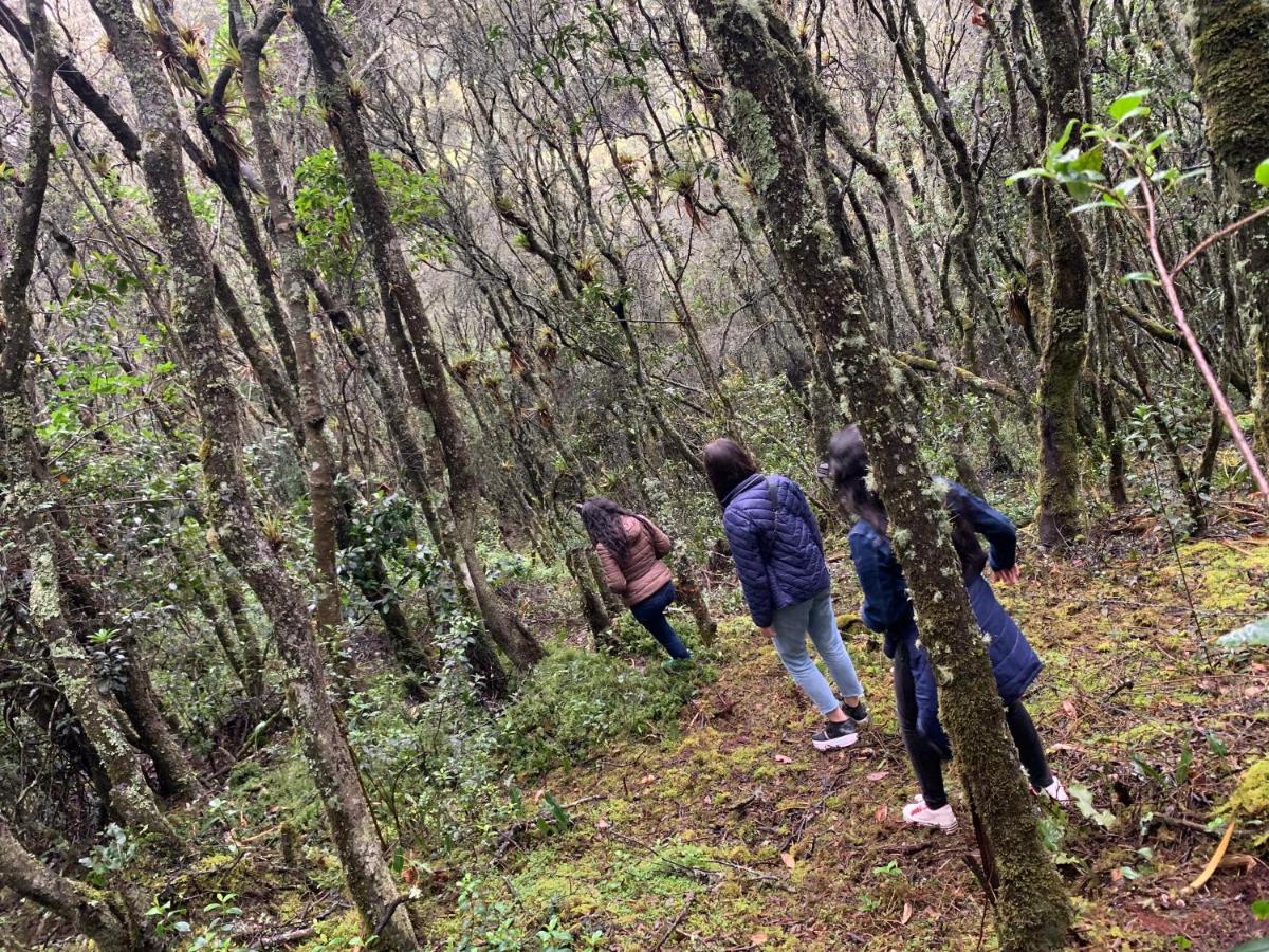 Mirador Bosque Gran Torino Neusa Cogua Eksteriør billede